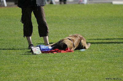 Remise des Prix 129.JPG - CHIENPLUS.COM